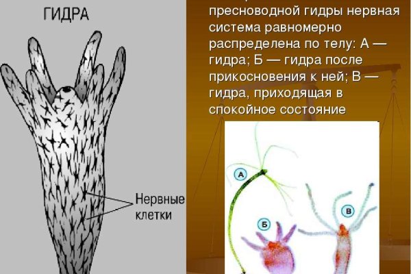 Как найти сайт меги блэкспрута